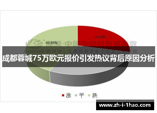 成都蓉城75万欧元报价引发热议背后原因分析 成都蓉城75万欧元报价引发热议背后原因分析