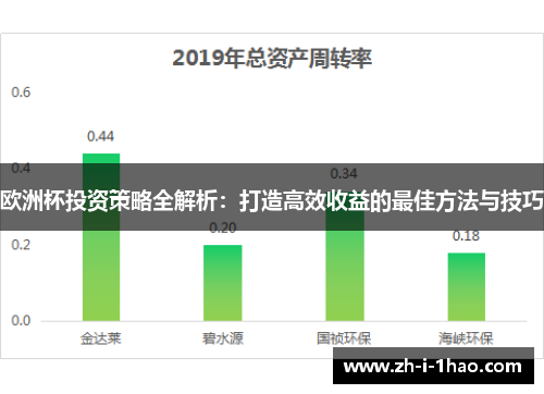 欧洲杯投资策略全解析:打造高效收益的最佳方法与技巧 欧洲杯投资策略全解析:打造高效收益的最佳方法与技巧