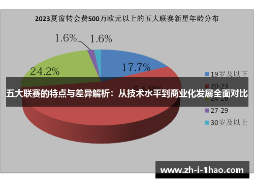 五大联赛的特点与差异解析：从技术水平到商业化发展全面对比