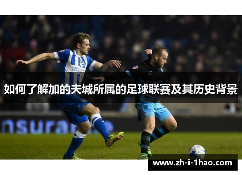 如何了解加的夫城所属的足球联赛及其历史背景