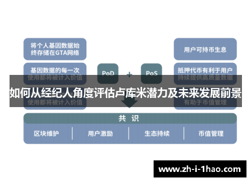 如何从经纪人角度评估卢库米潜力及未来发展前景