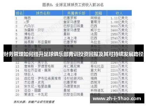 财务管理如何提升足球俱乐部青训投资回报及其可持续发展路径