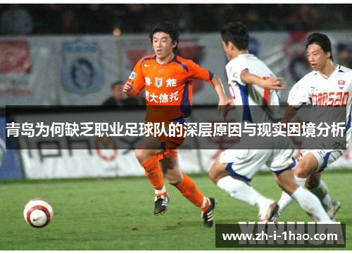 青岛为何缺乏职业足球队的深层原因与现实困境分析